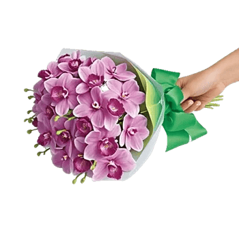 Serenity Orchid Bloom