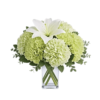 Graceful Lily Display