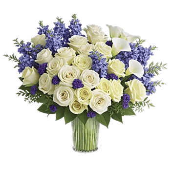 Graceful Lily Display
