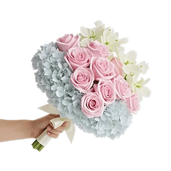 Pastel Pink Roses