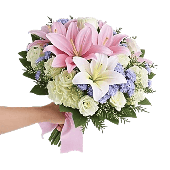 Blossom Petal Serenity