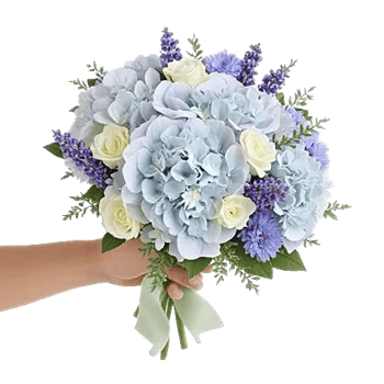 Sapphire Bloom Whisper