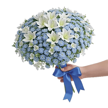 Serene Petal Harmony