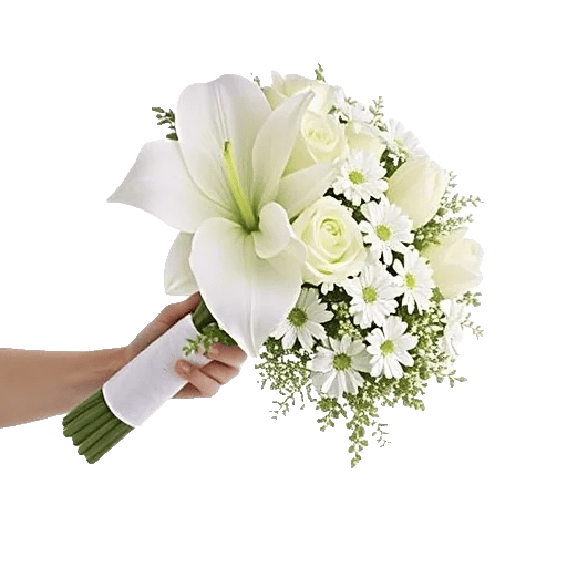 Ivory Garden Grace