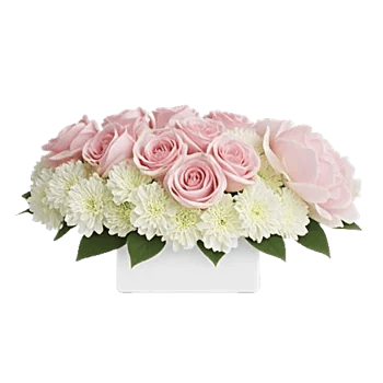 Delicate Petal Cascade