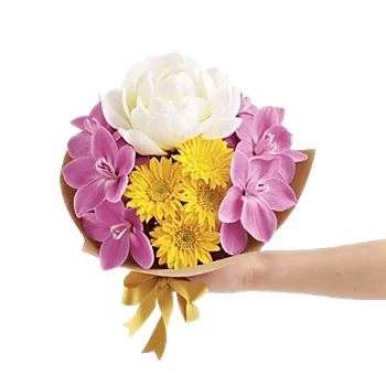 Petal Grace Harmony