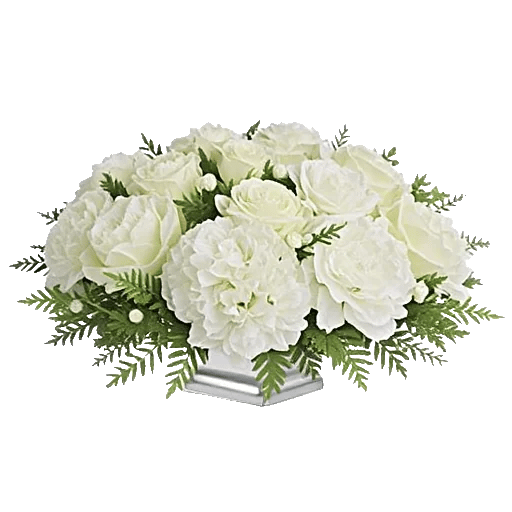 Ivory Blossom Radiance