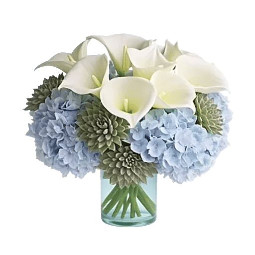 Elegant Calla Lilies