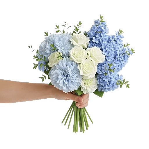 Sapphire Bloom Whisper