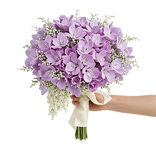 Honeyed Lilac Dream