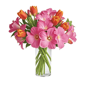 Petal Radiance Bliss