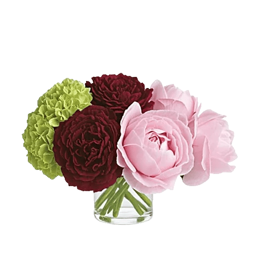 Blooming Serenity Display