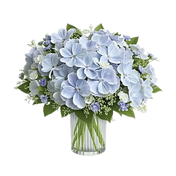 Sapphire Bloom Whisper