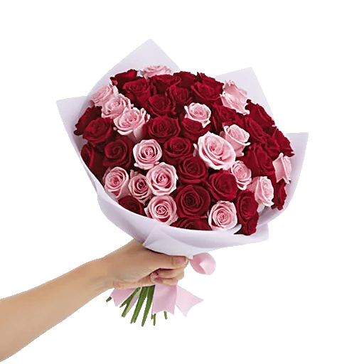 Crimson Rose Elegance