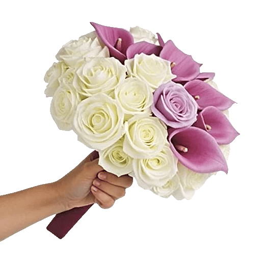 Elegant Calla Lilies