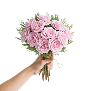 Pastel Pink Roses