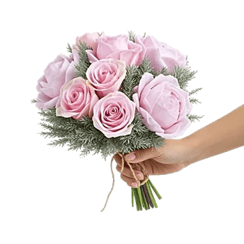 Pastel Pink Roses