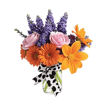 Petal Radiance Bliss