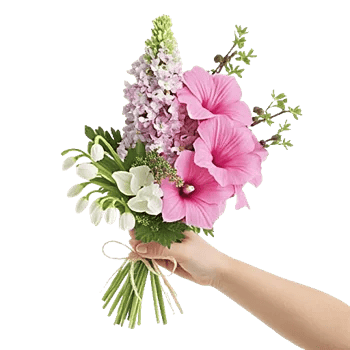 Blossom Harmony Display