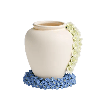 Minimalist White Orchids