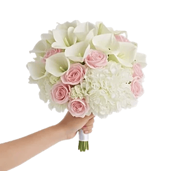 Ivory Garden Grace
