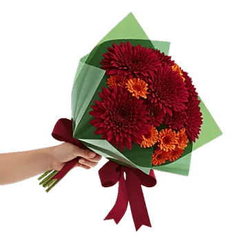 Crimson Blossom Harmony