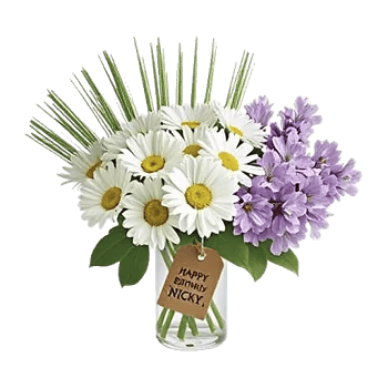 Enchanting Daisy Garden