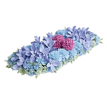 Sapphire Bloom Whisper