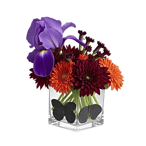 Ivory Blossom Radiance