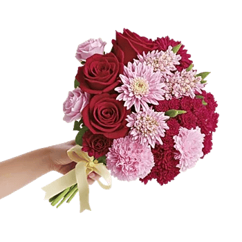 Crimson Rose Elegance