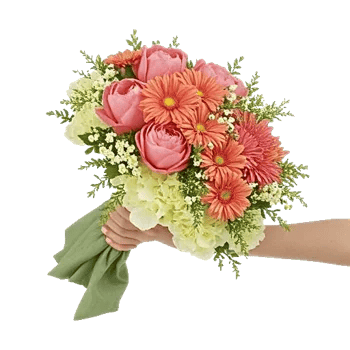 Delicate Petal Cascade