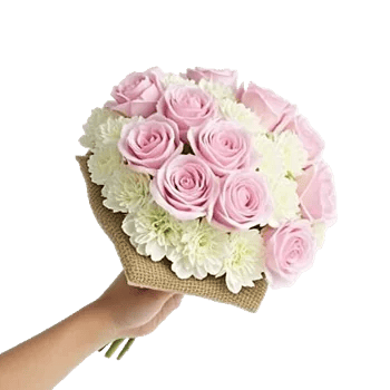 Pastel Pink Roses