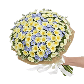 Blossom Petal Serenity