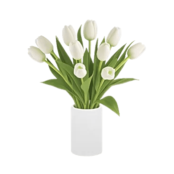Minimalist White Orchids