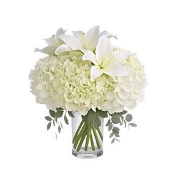 Graceful Lily Display