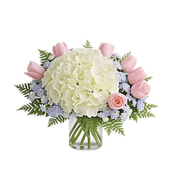 Serene Petal Harmony