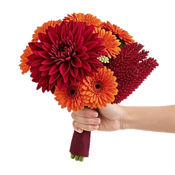 Crimson Blossom Harmony