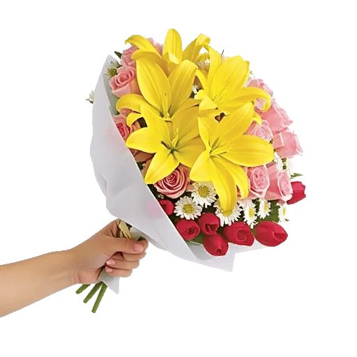 Blossom Harmony Display