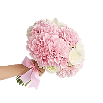 Petal Grace Harmony