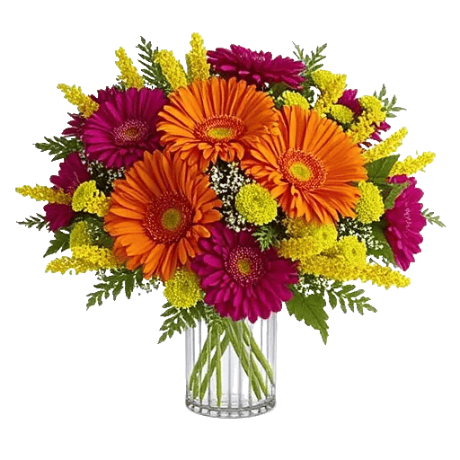 Vibrant Orange Delight