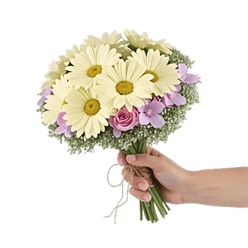 Blossom Petal Serenity