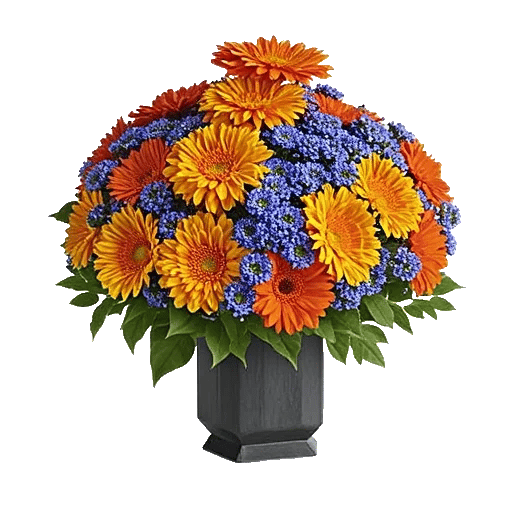 Vibrant Orange Delight