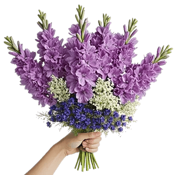 Lavender Bloom Grace