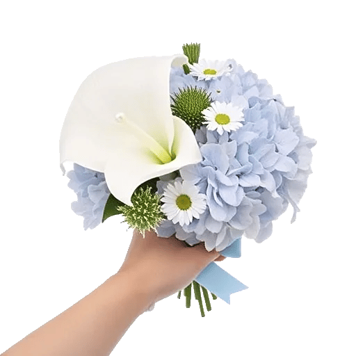 Elegant Calla Lilies