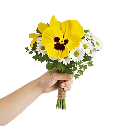 Blossom Harmony Display