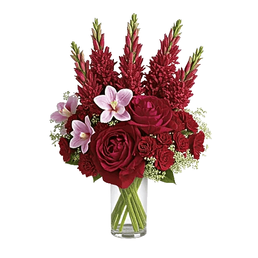 Petal Radiance Bliss