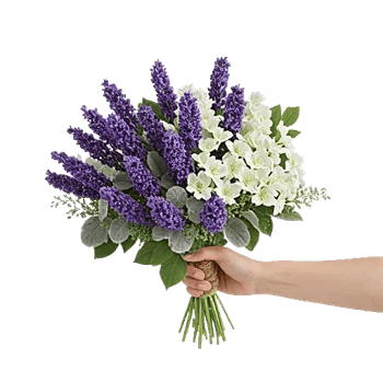 Lavender Bloom Grace