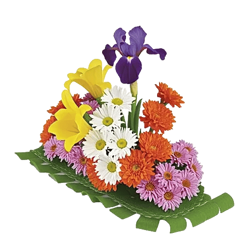 Graceful Lily Display