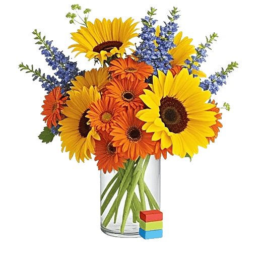 Sun-Kissed Petal Display