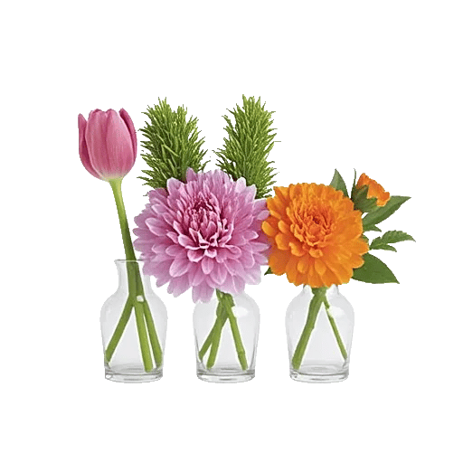 Petal Radiance Bliss